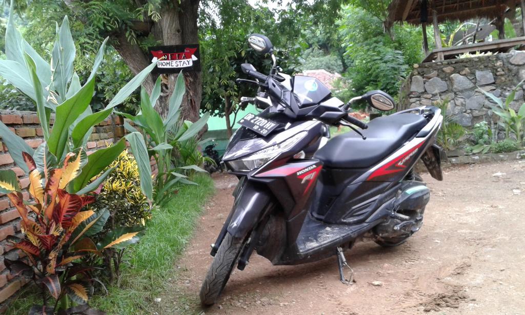 Defa Kuta (Lombok)